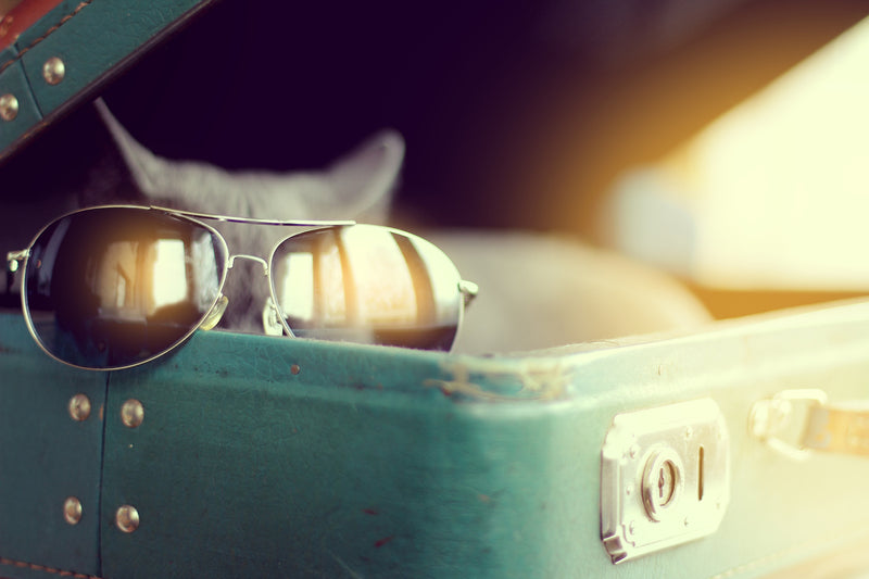 5 Easy Packing Tips for Every Trip