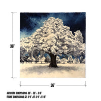 Diagram of In the Moment Vol. 2 original winter tree painting showing 36x36 inch artwork dimensions