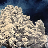 Textured palette knife detail of snowy tree crown against deep blue winter sky
