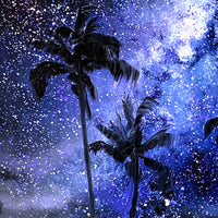 Midnight Over the Palms – Original Oil & Acrylic on Canvas Board